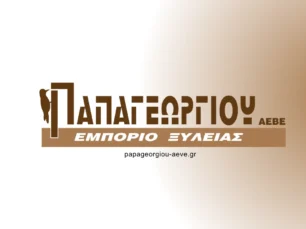 Papageorgiou project 1